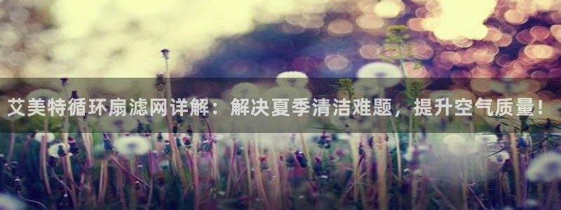 艾美特循环扇滤网详解：解决夏季清洁难题，提升空气质量！