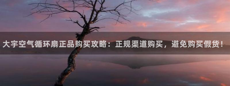 大宇空气循环扇正品购买攻略：正规渠道购买，避免购买假货！