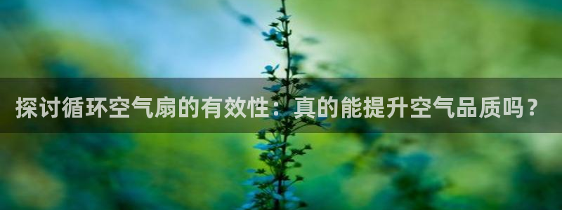 探讨循环空气扇的有效性：真的能提升空气品质吗？