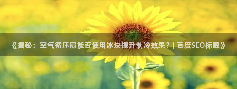 《揭秘：空气循环扇能否使用冰块提升制冷效果？| 百度SEO标题》
