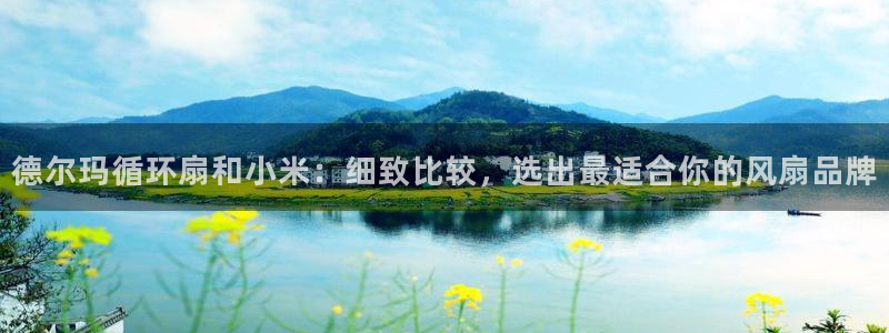 德尔玛循环扇和小米：细致比较，选出最适合你的风扇品牌