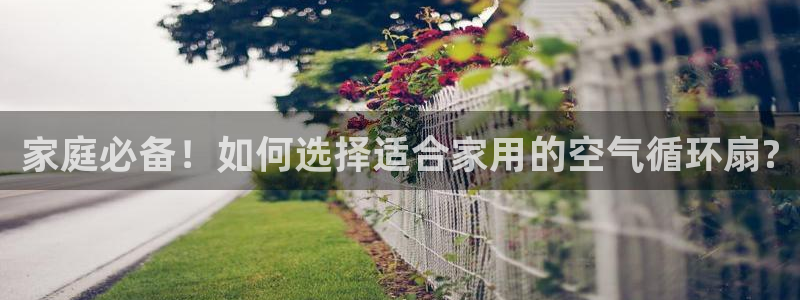 家庭必备！如何选择适合家用的空气循环扇?