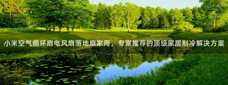 小米空气循环扇电风扇落地扇家用，专家推荐的顶级家居制冷解决方案