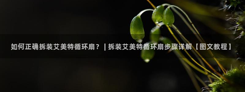 凯发平台轻7O777