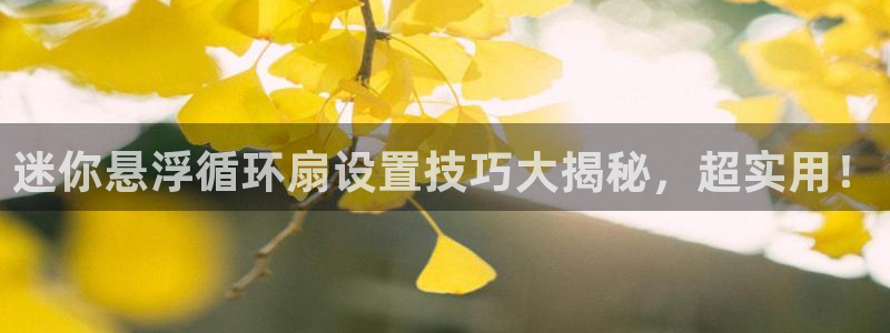 凯发k8天生赢家·一触即发：迷你悬浮循环扇设置技巧大揭秘，超实用！
