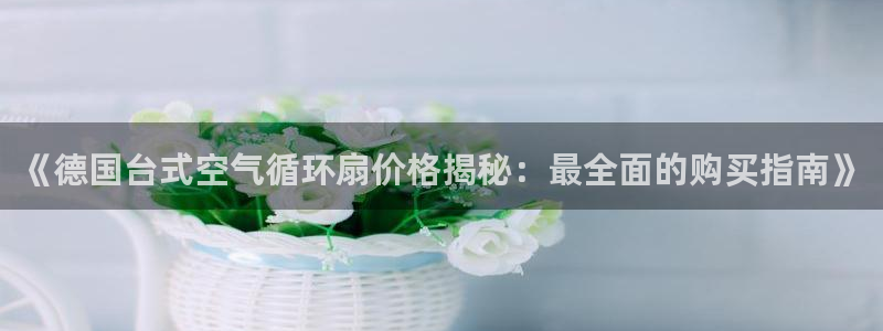 凯发k8娱乐是哪个国家的：《德国台式空气循环扇价格揭秘：最全面的购买指南》