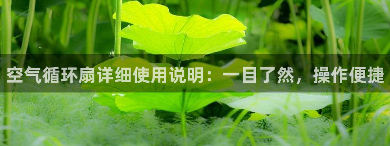 凯发k8国际|首页w来就送38元：空气循环扇详细使用说明：一目了然，操作便捷