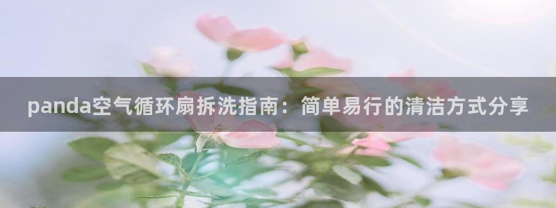 凯发国际是什么：panda空气循环扇拆洗指南：简单易行的清洁方式分享