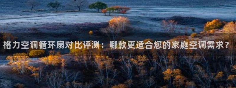 凯发k8娱乐平台下载：格力空调循环扇对比评测：哪款更适合您的家庭空调需求？