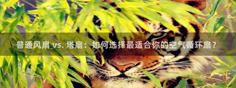 凯发k8娱乐官网入：普通风扇 vs. 塔扇：如何选择最适合你的空气循环扇？