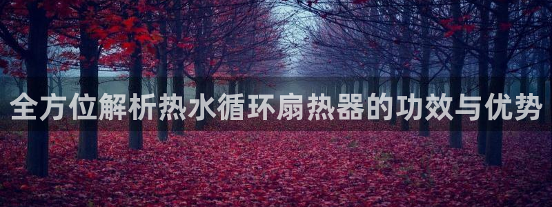 凯发k8官方网娱乐官方：全方位解析热水循环扇热器的功效与优势