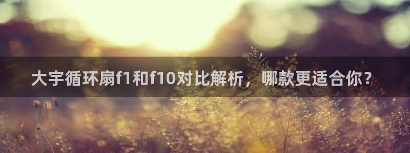 凯发k8国际注册：大宇循环扇f1和f10对比解析，哪款更适合你？