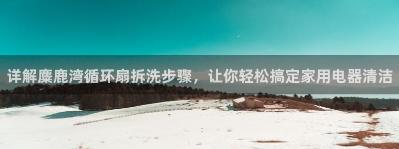 凯发k8天生赢家·一触即发：详解麋鹿湾循环扇拆洗步骤，让你轻松搞定家用电器清洁