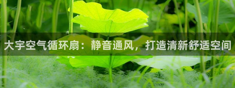凯发首页：大宇空气循环扇：静音通风，打造清新舒适空间