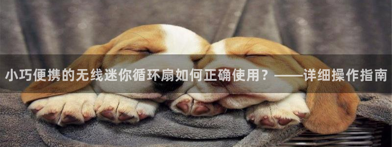 凯发k8国际官网可靠吗：小巧便携的无线迷你循环扇如何正确使用？——详细操作指南