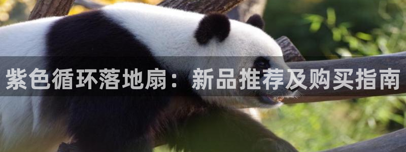 凯发k8官网so选来就送38：紫色循环落地扇：新品推荐及购买指南