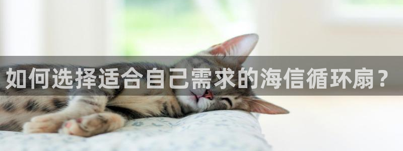 凯发手机唯一：如何选择适合自己需求的海信循环扇？