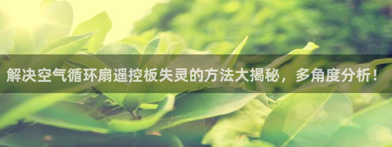 凯发官方网站是多少：解决空气循环扇遥控板失灵的方法大揭秘，多角度分析！