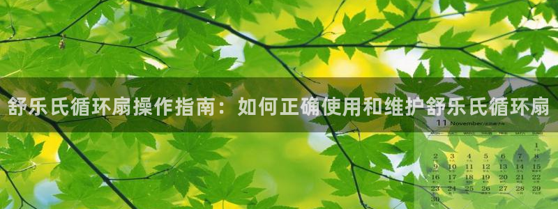 凯发国际娱乐官网k8：舒乐氏循环扇操作指南：如何正确使用和维护舒乐氏循环扇