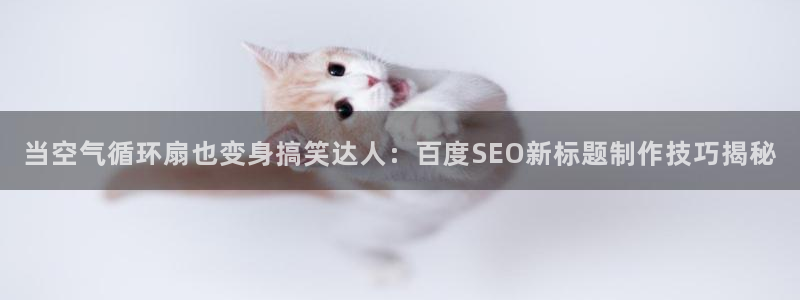 凯发国际可靠送38元：当空气循环扇也变身搞笑达人：百度SEO新标题制作技巧揭秘