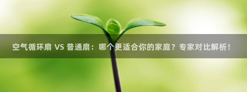 凯发k8网站是多少：空气循环扇 VS 普通扇：哪个更适合你的家庭？专家对比解析！