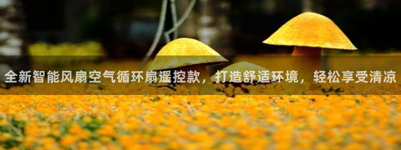 凯发k8国际真人娱乐旗舰厅：全新智能风扇空气循环扇遥控款，打造舒适环境，轻松享受清凉