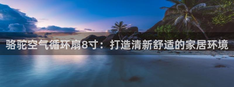 凯发娱乐官方网站：骆驼空气循环扇8寸：打造清新舒适的家居环境