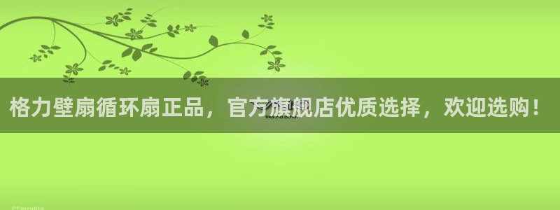 凯发注册手机版官网：格力壁扇循环扇正品，官方旗舰店优质选择，欢迎选购！