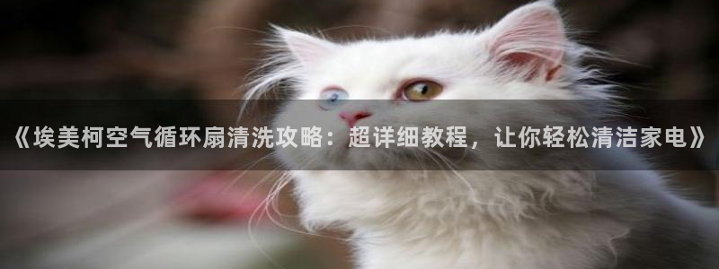 凯发k8手机网页：《埃美柯空气循环扇清洗攻略：超详细教程，让你轻松清洁家电》