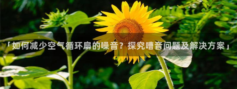 凯发官方:访问凯发.网站：「如何减少空气循环扇的噪音？探究嘈音问题及解决方案」