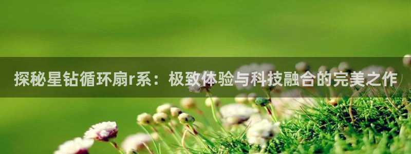 凯发国际怎么赚钱：探秘星钻循环扇r系：极致体验与科技融合的完美之作