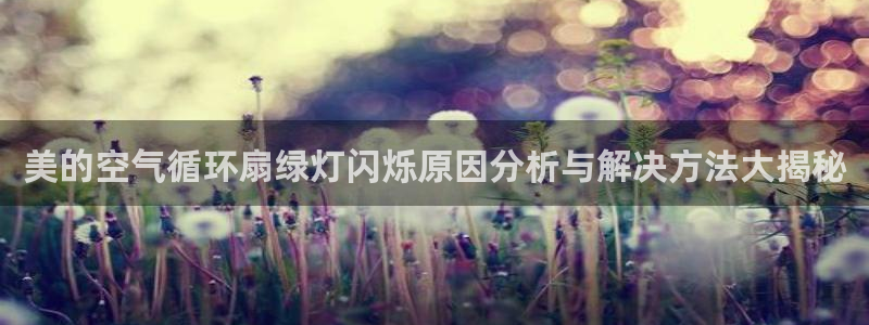 k8凯发官方找就送38：美的空气循环扇绿灯闪烁原因分析与解决方法大揭秘