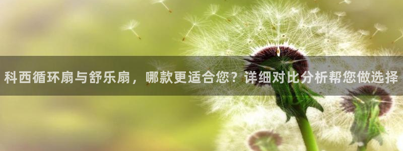 凯发官网手机app：科西循环扇与舒乐扇，哪款更适合您？详细对比分析帮您做选择