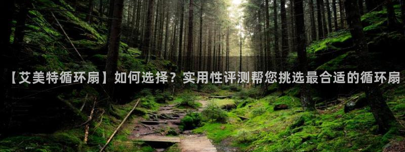 凯发k8娱乐是真实的吗：【艾美特循环扇】如何选择？实用性评测帮您挑选最合适的循环扇
