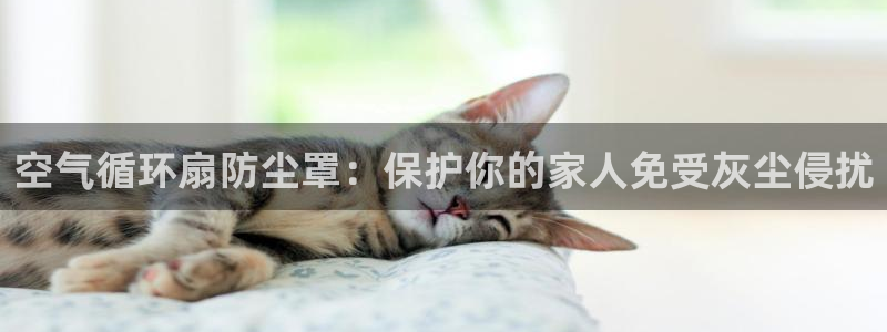 凯发首页：空气循环扇防尘罩：保护你的家人免受灰尘侵扰