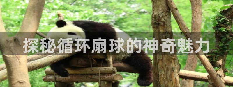 凯发国际真人：探秘循环扇球的神奇魅力