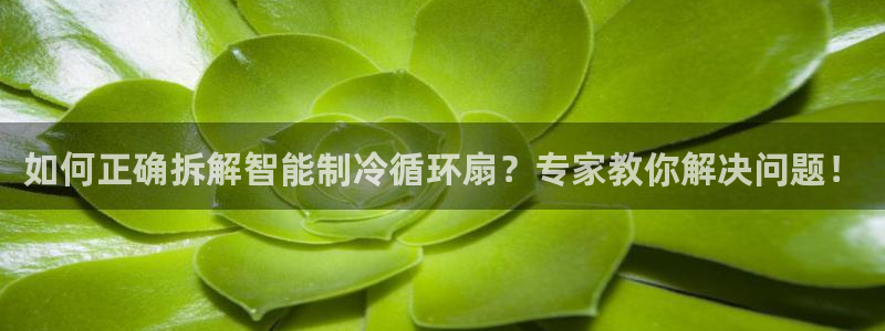 凯发娱乐官网登录：如何正确拆解智能制冷循环扇？专家教你解决问题！