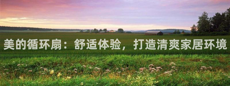 凯发k8娱乐现在还有吗：美的循环扇：舒适体验，打造清爽家居环境