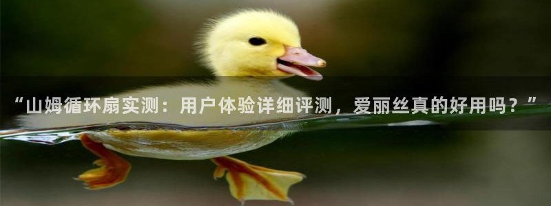 凯发国际可靠送38元：“山姆循环扇实测：用户体验详细评测，爱丽丝真的好用吗？”