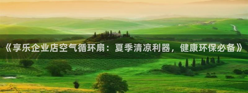 凯发国际平台官网：《享乐企业店空气循环扇：夏季清凉利器，健康环保必备》