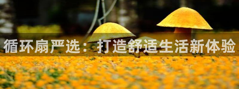 凯发最新官方app下载：循环扇严选：打造舒适生活新体验