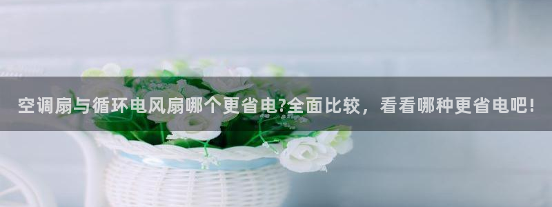 凯发官网入口首页：空调扇与循环电风扇哪个更省电?全面比较，看看哪种更省电吧!