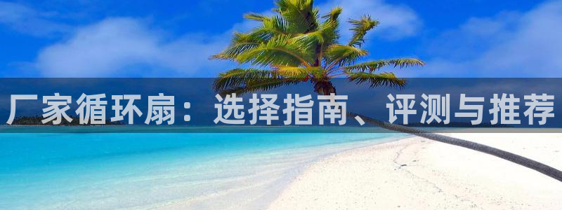 凯发app平台：厂家循环扇：选择指南、评测与推荐