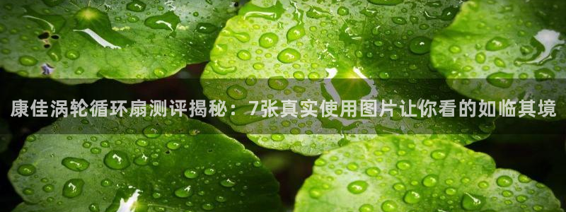 凯发国际平台：康佳涡轮循环扇测评揭秘：7张真实使用图片让你看的如临其境