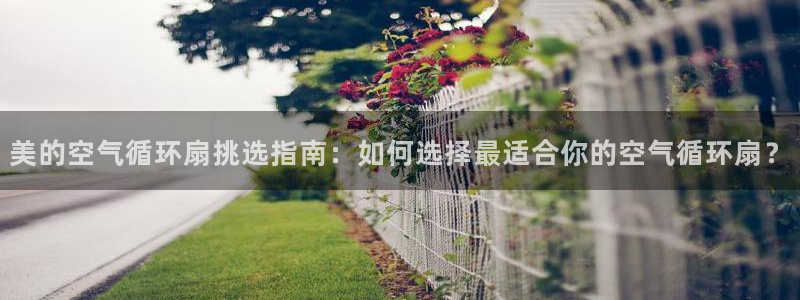 凯发官网登录地址陆地：美的空气循环扇挑选指南：如何选择最适合你的空气循环扇？