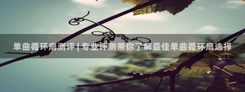 凯发app可信吗：单曲循环扇测评 | 专业评测带你了解最佳单曲循环扇选择