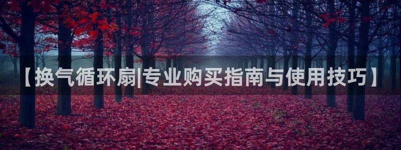 凯发网站是多少：【换气循环扇|专业购买指南与使用技巧】