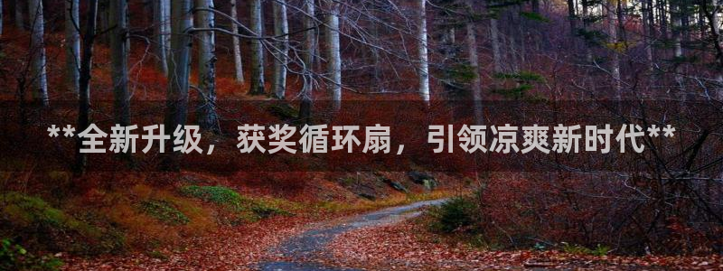 凯发a600丶cc官网首页：**全新升级，获奖循环扇，引领凉爽新时代**