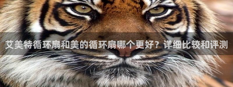 凯发k8国际官网可靠吗：艾美特循环扇和美的循环扇哪个更好？详细比较和评测