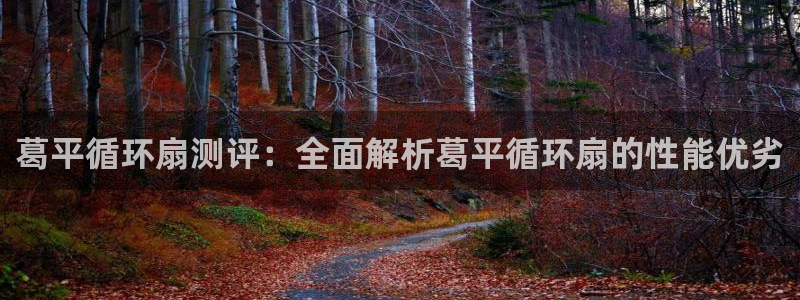 凯发k8国际真人版安全送38元：葛平循环扇测评：全面解析葛平循环扇的性能优劣